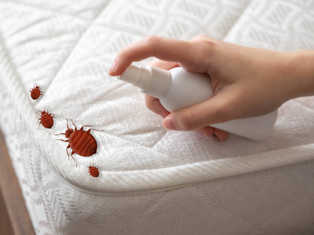 Insect Control in La Selva Beach, CA